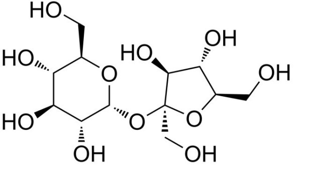 Sucrose Molecule