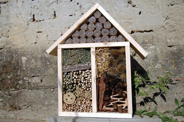 bee hotel