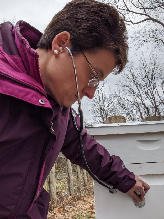 MVIMG_20191208_121635