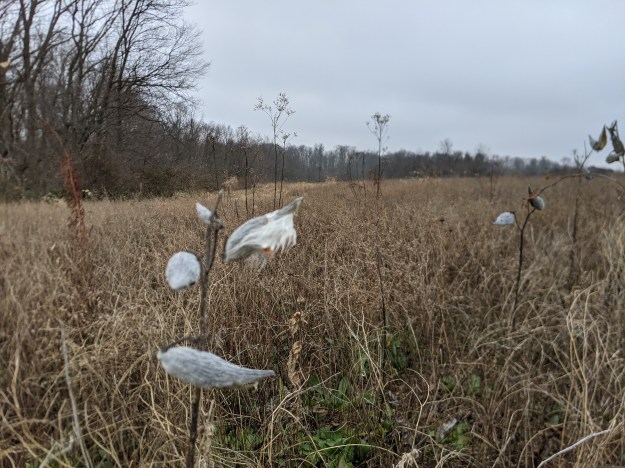 PXL_20201221_160133362